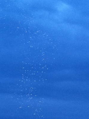 Seifenblasen �ber Robbie