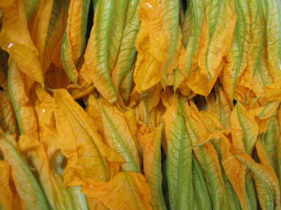 Zucchini